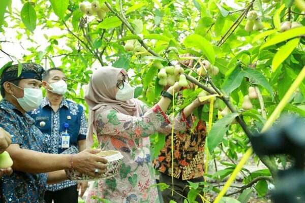 Program Jagoan Tani Usung Konsep Beda, Peserta Wajib Tahu