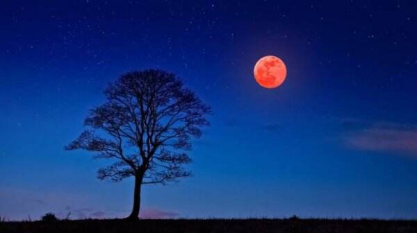 Ada Gerhana Bulan Total Besok, Tonton Langsung di Sini