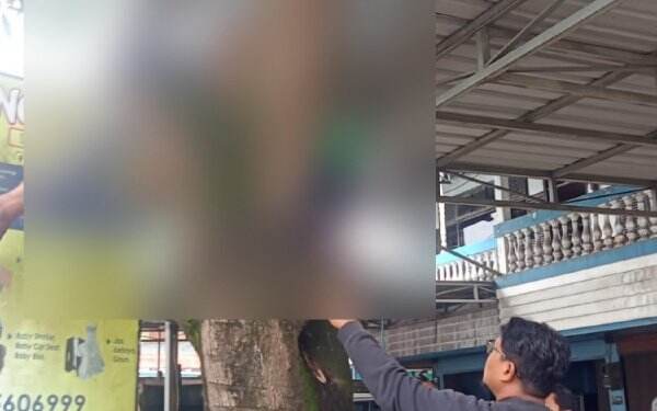 Istri Minta Mangga, Suami Panjat Pohon dan Tersengat Listrik