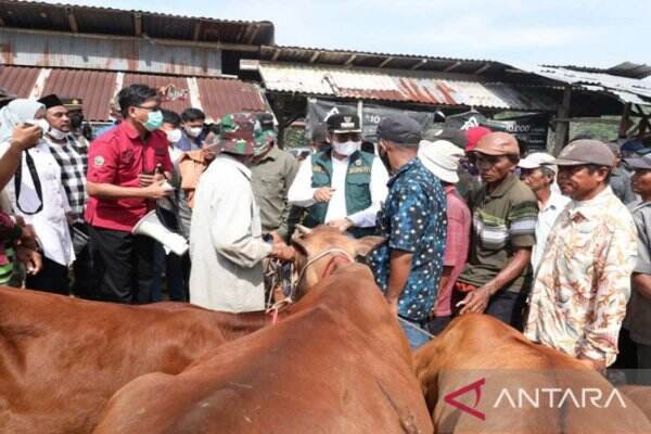 Peternak Takut Wabah PMK, Bupati Bangkalan Beri Pesan Menyejukkan