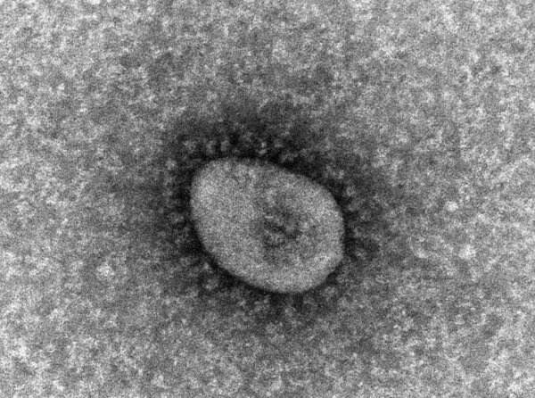 Peneliti Jepang Temukan Fakta Baru Hepatitis Akut pada Anak, Ada Kaitan dengan Omicron