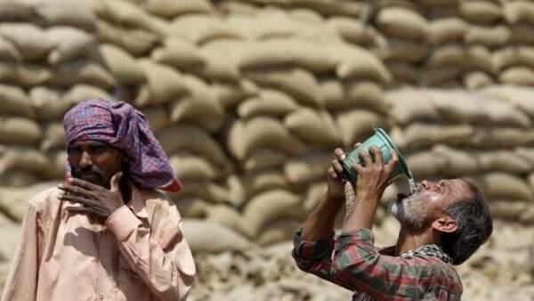 Gelombang Panas Landa India, Suhu Udara di New Delhi Capai 49 Derajat Celsius