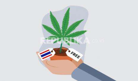 Infografis Satu Juta Bibit Ganja Gratis untuk Rakyat Thailand