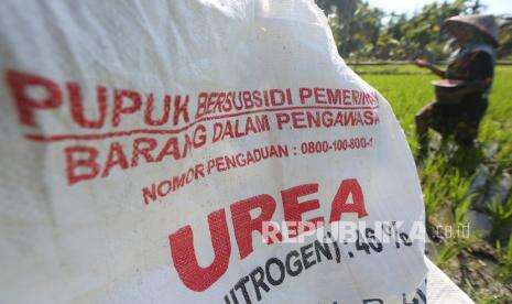 Pupuk Subsidi Langka, Petani Manfaatkan Pupuk Organik
