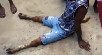 Heboh Pria Berubah Jadi Sapi Usai Selingkuhi Istri Orang, Kok Bisa?