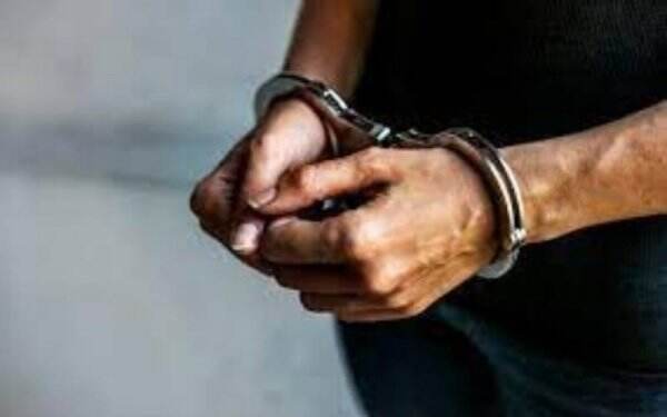 Kedapatan Tanam Ganja di Belakang Rumah, 2 Pria OKU Timur Ditangkap Polisi