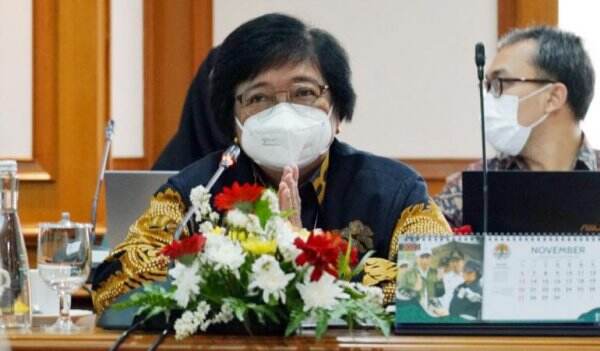 Bangun Mangrove Center Menteri Siti Sukses Ajak Jerman Bantu Proyek IKN