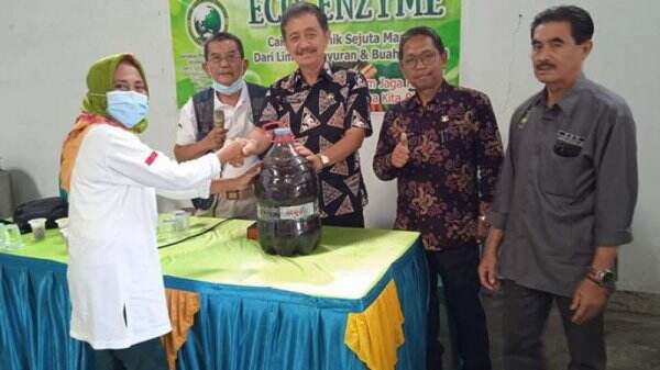 Sapi Tanah