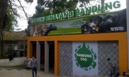 Sambut Libur Sekolah, Kebun Binatang Bandung Buka Kesempatan Siswa Merawat Hewan