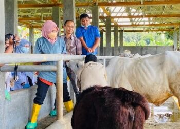 Cegah PMK, Ratusan Ekor Sapi Perah di Kota Bogor Mulai Divaksin