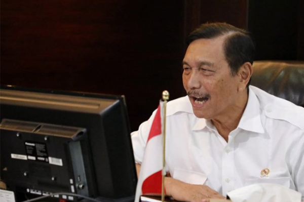 Harga TBS di Tingkat Petani Anjlok, Ini Kata Luhut