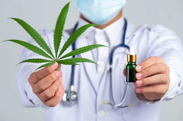 Ramai Isu Legalisasi Ganja Medis di Indonesia, Ini Penjelasan Ahli