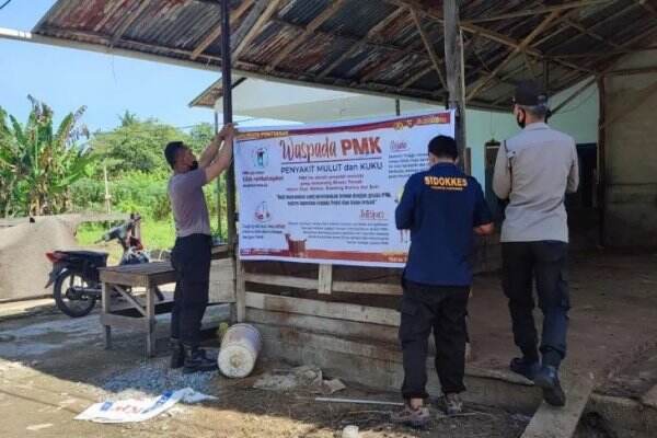 Cegah PMK, Peternak Pontianak Diimbau Jaga Kebersihan Kandang