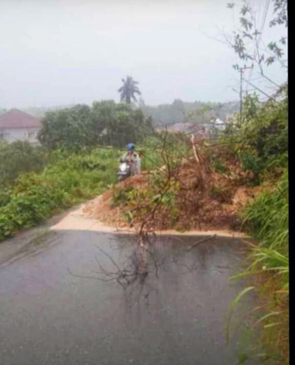 Dihantam Banjir, Jembatan Putus Hingga Longsor Di Kotabaru - News+ On RCTI+