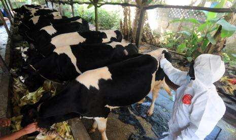 Pemerintah Upayakan Produksi Vaksin Dalam Negeri