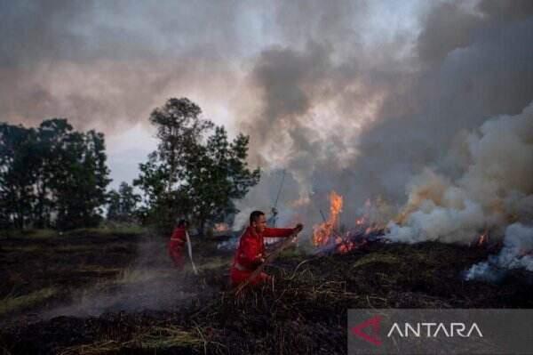 BPBD Sumsel Deteksi 3 Titik Hotspot Karhutla di Musi Rawas