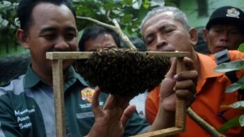 Baznas Buka Program Beasiswa Ma`had Aly untuk Kalangan Tidak Mampu