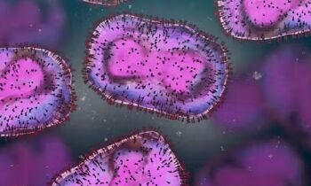 Begini Proses Penularan Virus Cacar Monyet ke Manusia