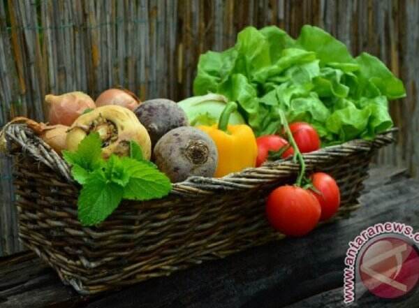 Berikut Ini Jenis Makanan Penurun Kolesterol, Cek!