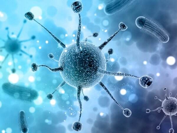 Disebut Lebih Mematikan, Yuk Kenali Gejala hingga Cara Mencegah Virus Langya