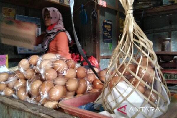 Mak-Mak Pusing Lagi, Harga Telur di Kudus Tembus Rp 31.000/Kg