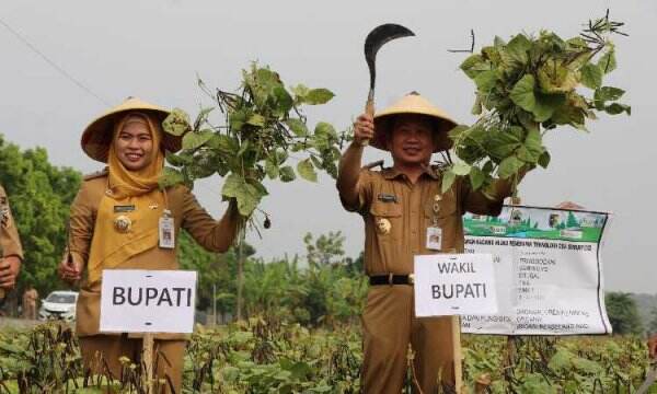 Genjot Sektor Pertanian, Bupati Demak Ajak Petani Menanam Cerdas Dan ...