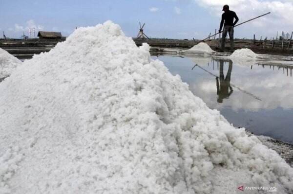 Kejagung Periksa Direktur Industri Kimia Kemenperin soal Impor Garam Industri