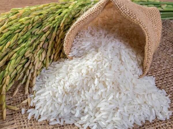 Stok Beras Pemerintah Menipis