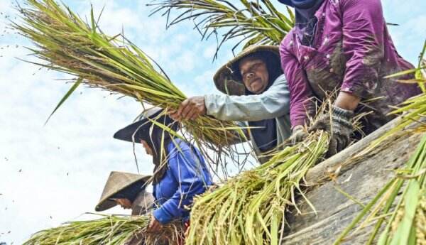 Indonesia Dorong Negara G20 Sepakati Solusi Krisis Pangan