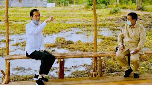 Paksakan Tanam Bawang Jadi Semak Belukar, Foof Estate Terbukti Gagal