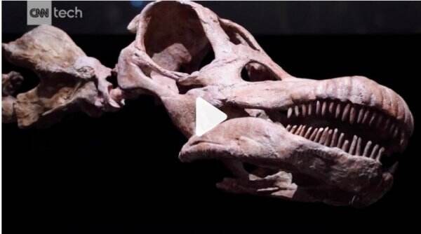 Ilmuwan Temukan Fosil Dinosaurus Ninjatitan Raksasa Berusia 140 Juta Tahun