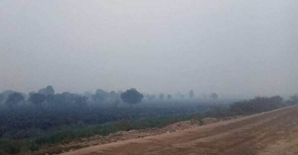 Akibat Karhutla, Riau Mulai Disungkup Kabut Asap