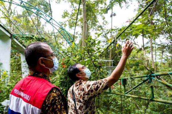 Pertamina Dukung Program Konservasi Kupu-Kupu Langka di Bandarlampung