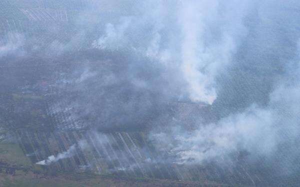 Menhut Bekukan Izin Usaha Tiga Perusahaan di Kaltim Terkait Karhutla Menhut Bekukan Izin Usaha Tiga Perusahaan di Kaltim Terkait Karhutla