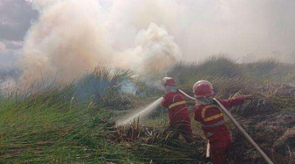 Karhutla Hanguskan 107.465 Hektare Lahan di Indonesia, Kalbar Terparah Karhutla Hanguskan 107.465 Hektare Lahan di Indonesia, Kalbar Terparah