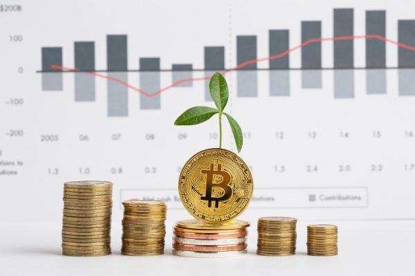 10 Langkah Investasi Crypto untuk Pemula 10 Langkah Investasi Crypto untuk Pemula