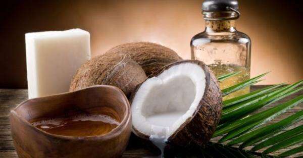 2 Juta Butir Kelapa Diolah Tiap Hari, dari Santan hingga Cocopeat untuk Pasar Dunia 2 Juta Butir Kelapa Diolah Tiap Hari, dari Santan hingga Cocopeat untuk Pasar Dunia