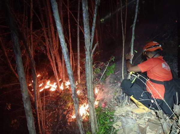BNPB: 3 Daerah di Pulau Jawa Dilanda Karhutla, 8 Hektare Lahan Terbakar BNPB: 3 Daerah di Pulau Jawa Dilanda Karhutla, 8 Hektare Lahan Terbakar