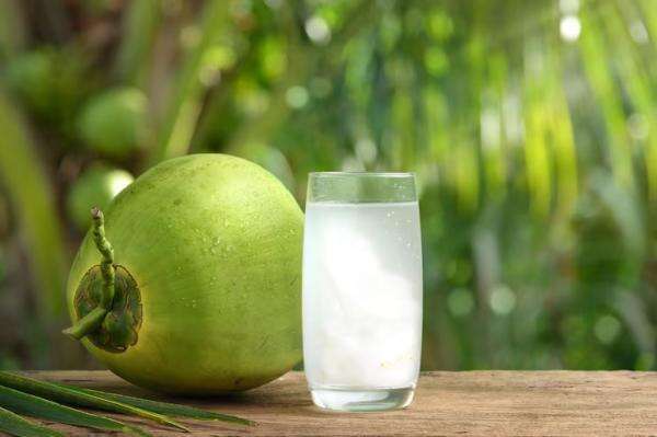 Benarkah Air Kelapa Bisa Bikin Berat Badan Naik? Benarkah Air Kelapa Bisa Bikin Berat Badan Naik?