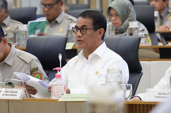 Pemerintah Telusuri Dugaan Mafia Beras Fortifikasi, Potensi Kerugian Tembus Rp 71 Triliun Pemerintah Telusuri Dugaan Mafia Beras Fortifikasi, Potensi Kerugian Tembus Rp 71 Triliun
