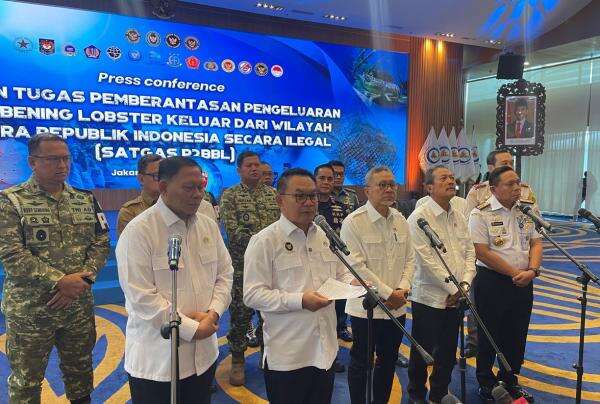 Satgas P2BBL Dibentuk, Pemerintah Siap Tangkap Bandar Penyelundup Benih Lobster Satgas P2BBL Dibentuk, Pemerintah Siap Tangkap Bandar Penyelundup Benih Lobster