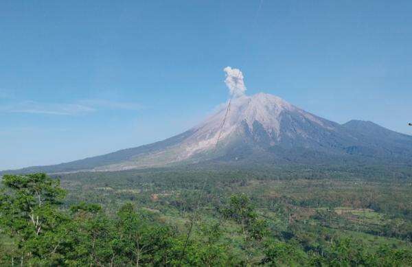 Gunung Semeru Erupsi Pagi Ini, Kolom Abu Vulkanik Membubung 800 Meter Gunung Semeru Erupsi Pagi Ini, Kolom Abu Vulkanik Membubung 800 Meter