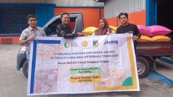 BULOG Gencarkan Penyaluran 150.000 Ton SPHP Jagung Tahap II, Prioritaskan Peternak Mikro BULOG Gencarkan Penyaluran 150.000 Ton SPHP Jagung Tahap II, Prioritaskan Peternak Mikro