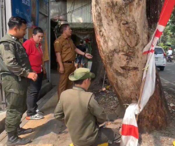 Viral Belasan Pohon di Cikutra Bandung Dikuliti OTK, DLH Turun Tangan Viral Belasan Pohon di Cikutra Bandung Dikuliti OTK, DLH Turun Tangan