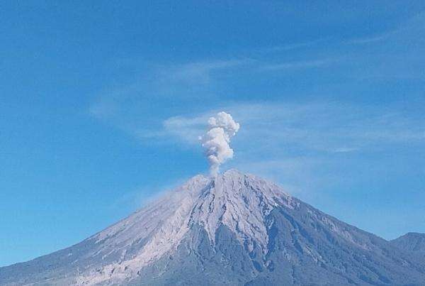 Gunung Semeru Meletus, Muntahkan Kolom Abu Tebal Setinggi 700 Meter ke Langit Gunung Semeru Meletus, Muntahkan Kolom Abu Tebal Setinggi 700 Meter ke Langit