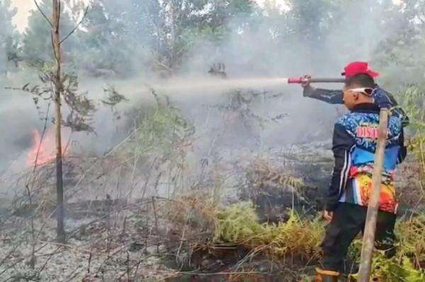 Karhutla Makin Parah, Pemkot Palangka Raya Tetapkan Status Tanggap Darurat Karhutla Makin Parah, Pemkot Palangka Raya Tetapkan Status Tanggap Darurat
