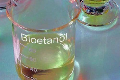 Pemerintah Siapkan Koperasi Bioetanol, Petani Bisa Ikut jadi Pemasok Bahan Baku Pemerintah Siapkan Koperasi Bioetanol, Petani Bisa Ikut jadi Pemasok Bahan Baku