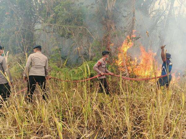 Respons Cepat Kebakaran Lahan, Brimob Malut Padamkan Api di Desa Tewil Respons Cepat Kebakaran Lahan, Brimob Malut Padamkan Api di Desa Tewil