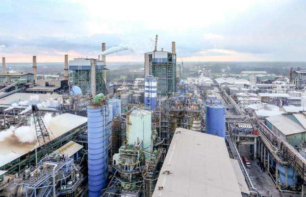 Menakar Prospek Saham Pulp dan Kertas di Tengah Ekspansi Kapasitas Menakar Prospek Saham Pulp dan Kertas di Tengah Ekspansi Kapasitas