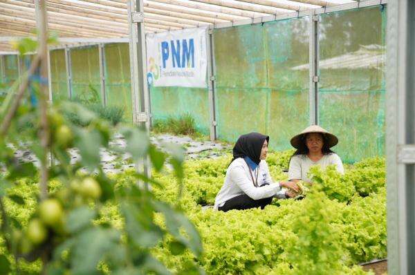 Komitmen Terapkan ESG, PNM Raih Empat Penghargaan di Indonesia Sustainability Award Komitmen Terapkan ESG, PNM Raih Empat Penghargaan di Indonesia Sustainability Award